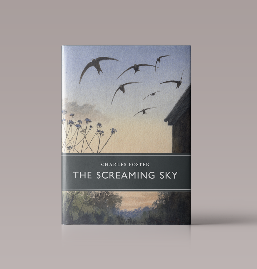 The Screaming Sky - David Higham Associates